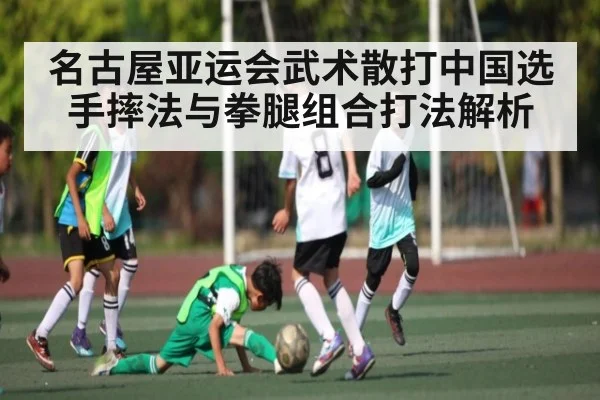 名古屋亚运会武术散打中国选手摔法与拳腿组合打法解析